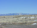 Dish Array